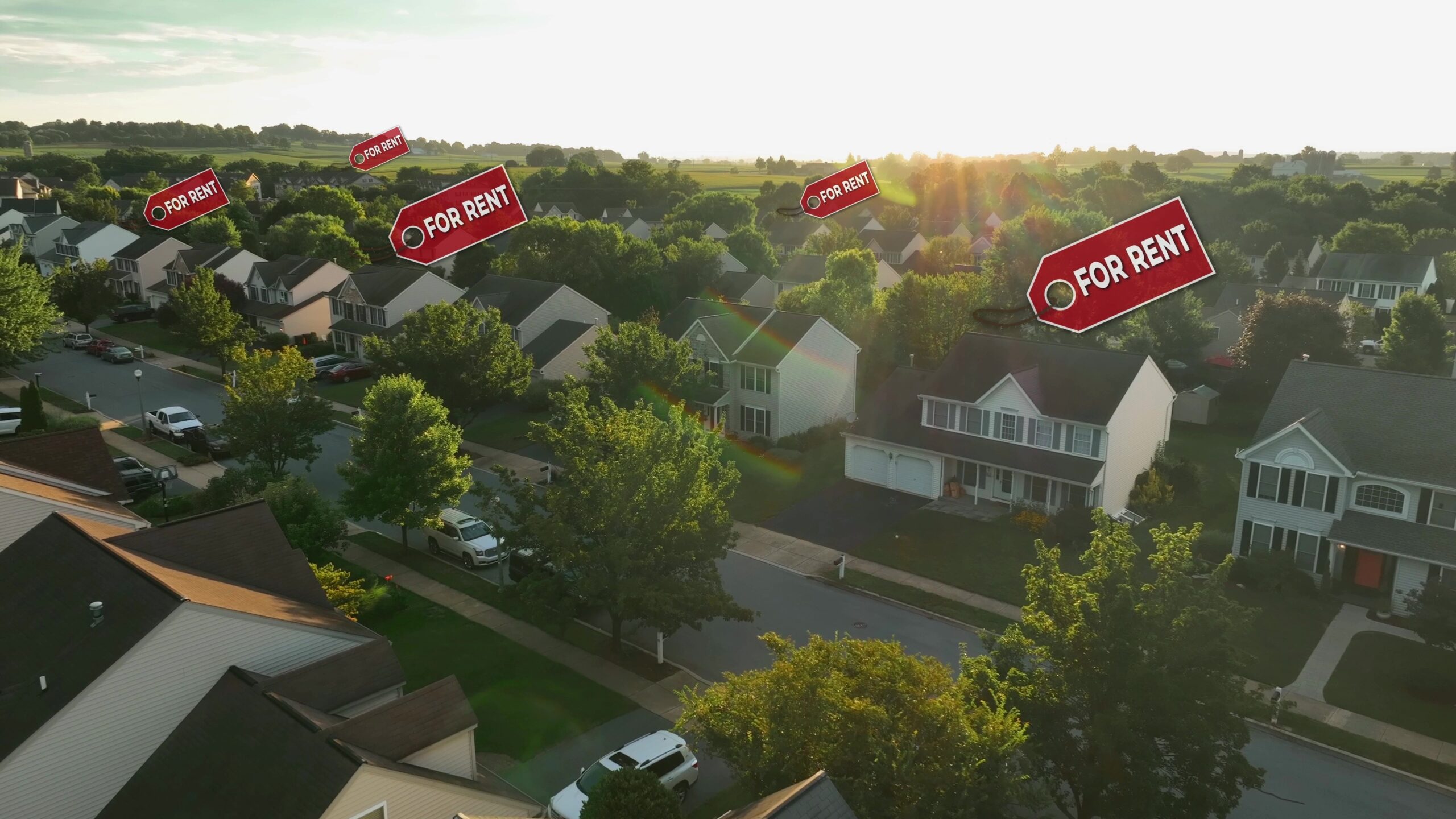 For Rent tags on houses in American neighborhood. Sunlit suburban street with renting homes during sunset. AirBnB, investment property, real estate theme. Aerial