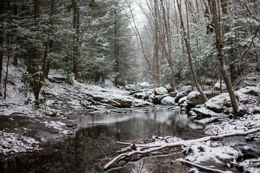 Winter view in Poconos, PA
